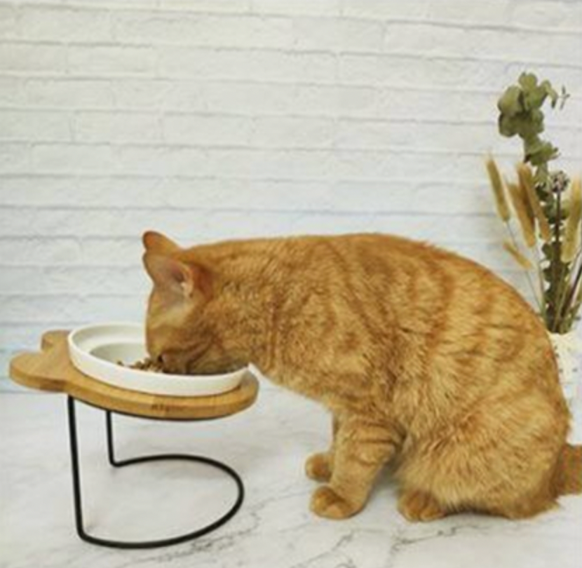 Bamboo Holder - Ceramic Bowl - Food and Water Bowl for Dogs and Cats